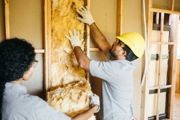 Types of Insulation We Offer in Viola, IL